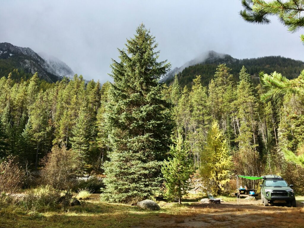 A green SUV parked at a sunlit Ketchikan trailhead surrounded by tall pine trees and misty mountains.