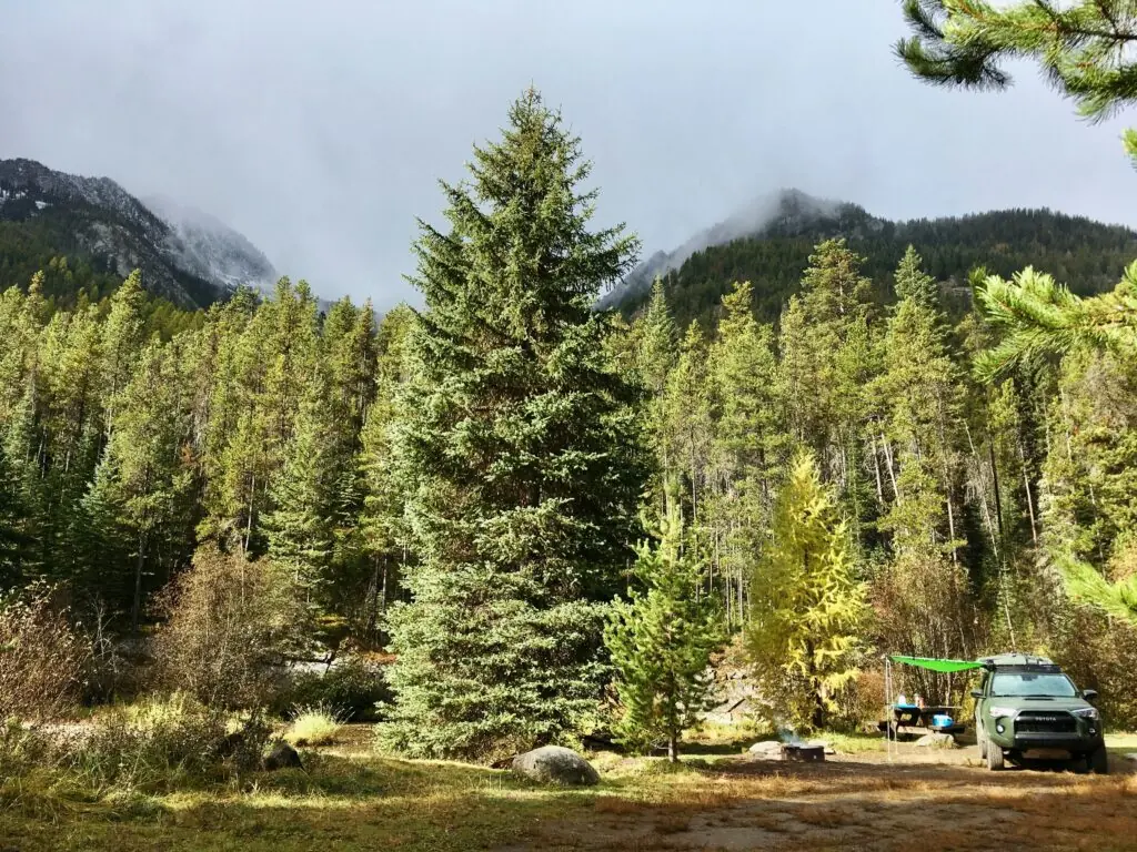 A green SUV parked at a sunlit Ketchikan trailhead surrounded by tall pine trees and misty mountains.